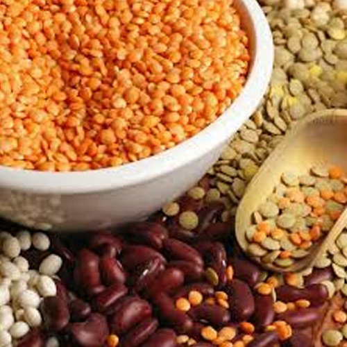  committee formed on msp for pulses 56110