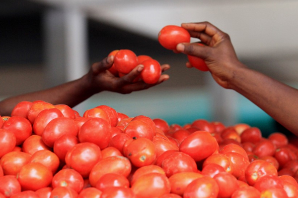 rein on onion inflation uncontrolled tomato prices 407383
