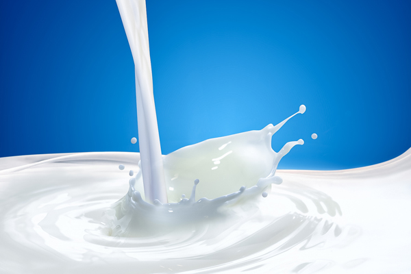 increasing the production of animal feed will reduce the cost of milk production dr vijay yadav 419411