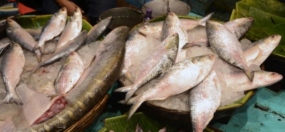 asias largest fish market will soon open in up chandauli 565164