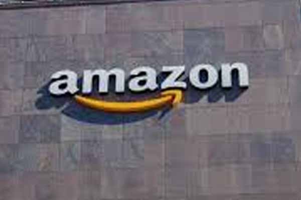  amazon partners with zentari to deploy new electric vehicles in india 661175