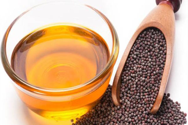  mustard became costlier by 800 rupees per quintal in a week 669266