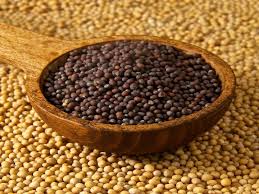  mustard seed reached 7000 rupees due to increase in duty on imported oils 672356