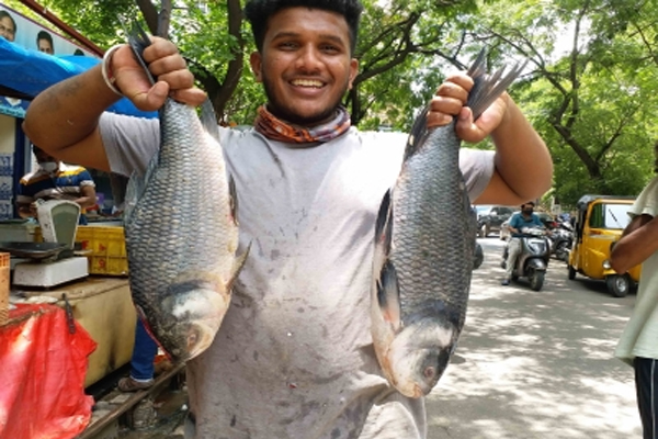 fish will be delivered to remote areas through drones center 724117