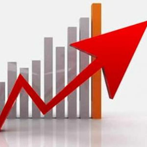 Inflation rate increased 6.01 percent in May