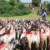  india can strengthen its position as a global leader in livestock exports 727335