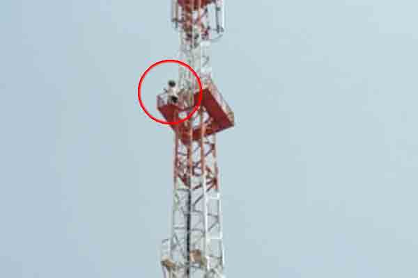 Sanvloda Purohitan village in Sikar farmers climbed the tower for crop compensation demands - Sikar News in Hindi