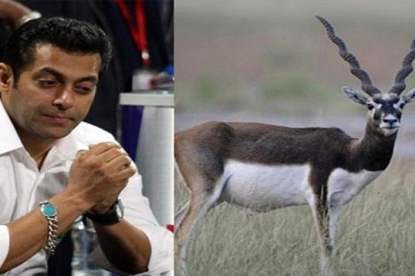 Rajasthan Jodhpur deer hunting case against Salman Khan, No debate, next date September 13 - Jodhpur News in Hindi