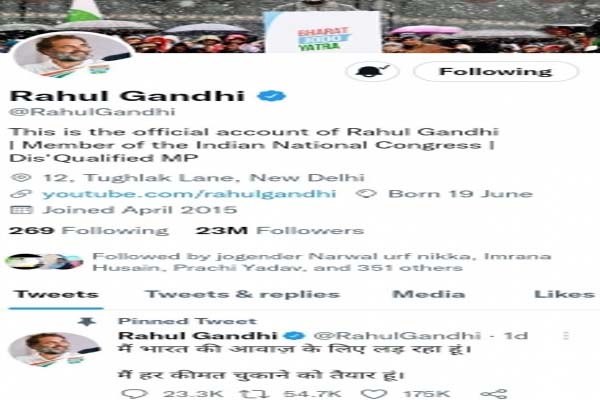 Rahul Gandhi changed his Twitter bio, wrote Unqualified Parliamentarian - Delhi News in Hindi