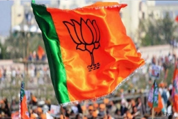 भाजपा ने संगठन कौशल से लिखी जीत की इबारत, सपा के अरमानों पर फेरा पानी