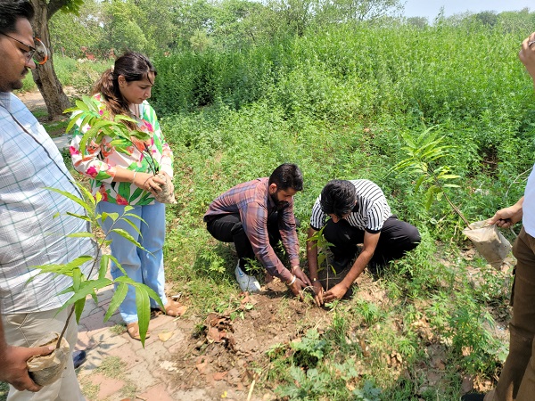 Chandigarh youth planted trees in memory of victims of Pahalgam attack, paid emotional tribute - Chandigarh UT News in Hindi