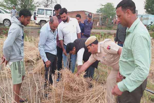 जिला कलेक्टर ने किया गांवों का दौरा, फसल खराबे की विशेष गिरदावरी के दिए निर्देश