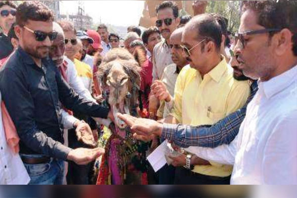 The residents of the city staged a sit-in outside the city development trust with a camel - Bhilwara News in Hindi