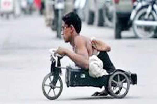 Sunni camps in disability assessment - Shimla News in Hindi