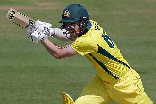 Australia beat Middlesex by 101 run, Travis Head smash century, Glenn Maxwell fail - Cricket News in Hindi