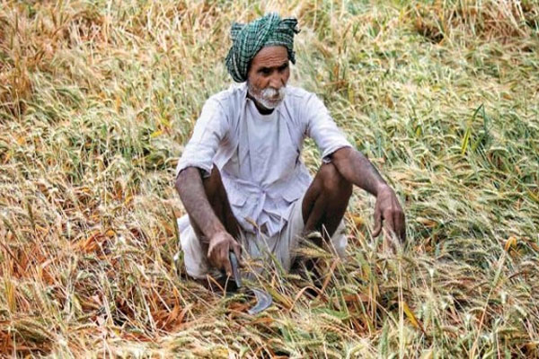 प्रदेश में 37 डार्क जोन, पानी बचाने वाली योजनाओं पर सब्सि़डी