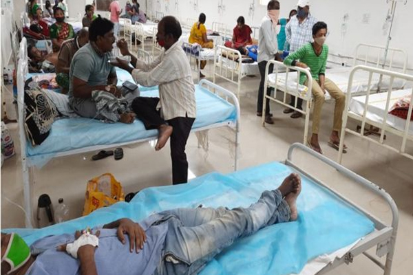Eluru mysterious disease caused by pesticide residues: Andhra government - Hyderabad News in Hindi