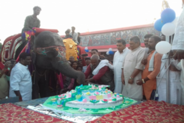 Bihar: Man celebrates pet elephants 8th birthday in Samastipur - Samastipur News in Hindi
