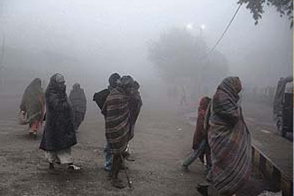 No relief from cold wave in the state, People are shivering - Jaipur News in Hindi