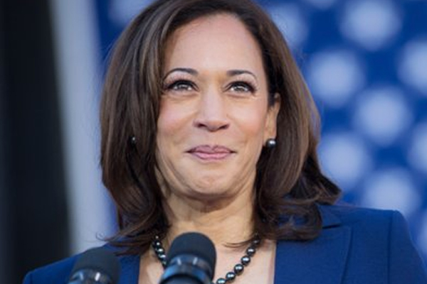 Kamala Harris creates buzz on social media with chithi reference - World News in Hindi