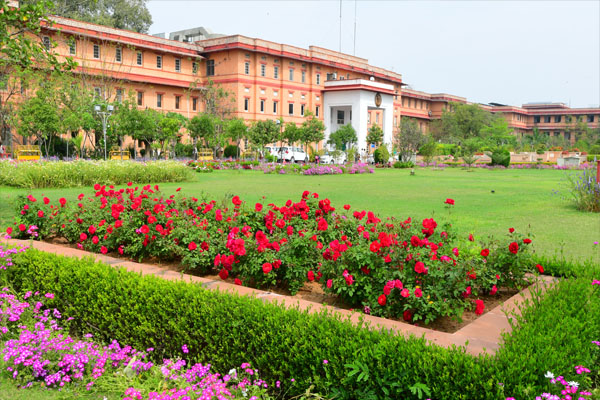 Government Secretariat garden in Jaipur buzzing with 70 species of flowers - Jaipur News in Hindi