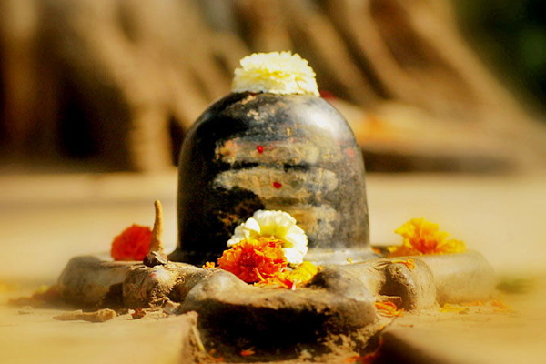Filling raw milk of cow in conch is done by offering it to Lord Shiva ... - Puja Path in Hindi
