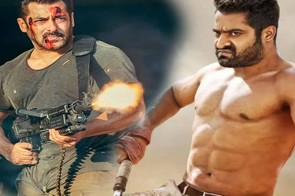 Junior NTR will be seen in Salman Khans Tiger-3 before War-2! - Bollywood News in Hindi
