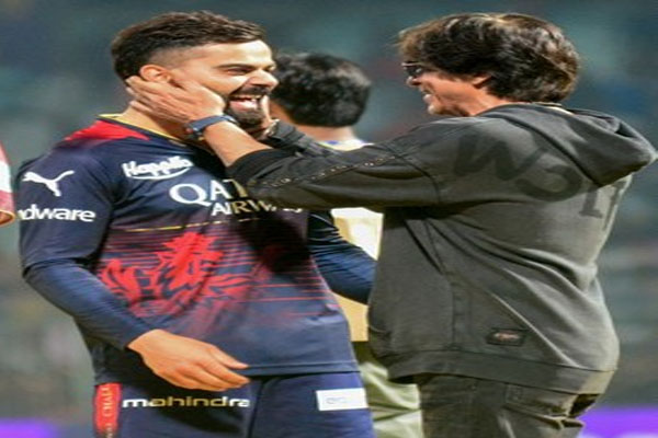 Shahrukh Khan said that Virat is like a son-in-law for our Bollywood fraternity - Cricket News in Hindi