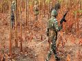 आंध्र प्रदेश में पुलिस के साथ मुठभेड़ में तीन बड़े माओवादी मारे गए