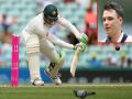 Peter Handscomb hit wicket against pakistan, 20 indian batsmen have out in this manner in test including virat kohli