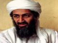 UP: Engineer who worshiped Osama bin Laden sacked