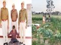 One accused arrested for cultivating opium illegally