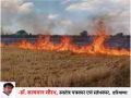 Crop fire: Farmers hard-earned dream burns