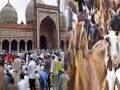 Know celebration reason and secretive history of Eid al-Adha or Bakrid