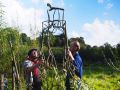 Chairs That Grow On Trees Trees Seem At First Glance Merely To Be Growing At Bizarre Angles