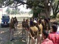 Dozens injured in conflict with electoral swords in gonda