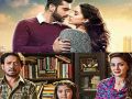 Need for the revival of ‘language’ films like Hindi medium