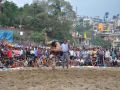 Wrestling competition begins with the Arena Pooja in solan