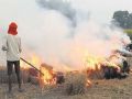 campaign to stop the burning of Parali, officials will be seen seriously