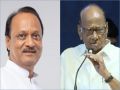 Rebel NCP team meets Sharad Pawar, - Maharashtra News in Hindi