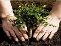 From this campaign related to promoting environmental protection